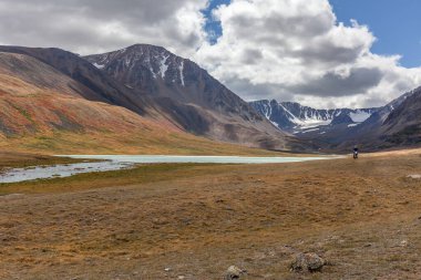 Moğolistan tepelerinde Moğolistan bozkırlarında motosiklet süren bir adam.