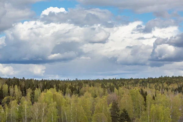 Dark clouds before the storm over a forest in Sweden. Thunderclouds in the sky before the rain