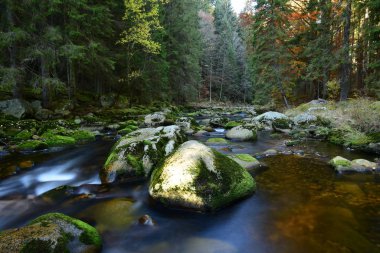 Kasım 'da Vydra nehrinde nemli yosun taşları
