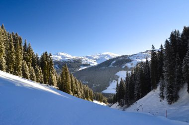 Burada bir kış manzarası var. Önünde karlı ağaçlar ve kayak pisti var.