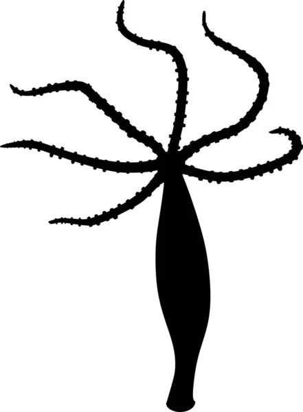 Чорний Силует Hydra Polyp — стоковий вектор