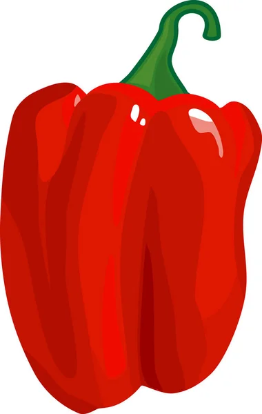 Red Sweet Pepper Isolated White Background — Stock Vector