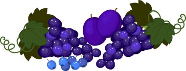 Beyaz arkaplanda izole edilmiş farklı mavi meyvelerin bileşimi