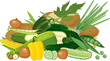 Beyaz arka planda izole edilmiş farklı sebzelerin büyük bileşimi