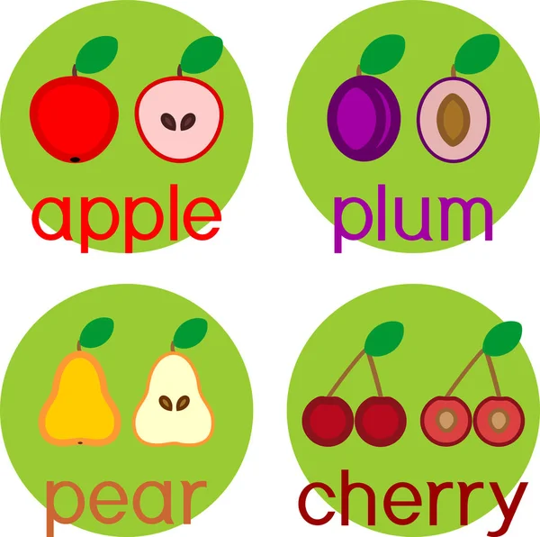 Zestaw Różnych Dojrzałych Owoców Jabłko Gruszka Śliwka Wiśnia Zielonym Liściem — Wektor stockowy