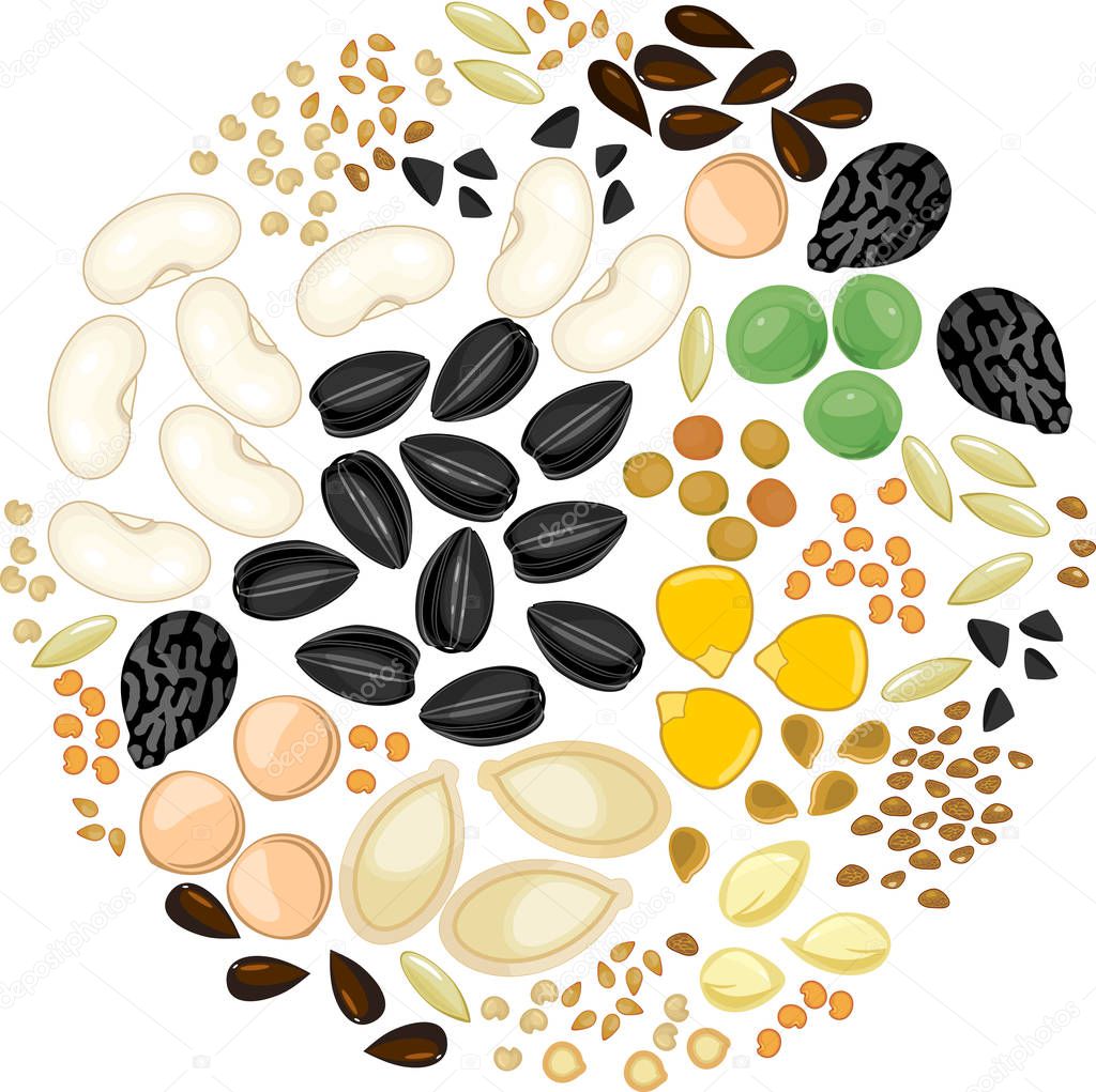 Set of different vegetable plant seeds isolated on white background