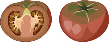 Taze siyah domates bütün ve beyaz arka planda yarı izole kesim