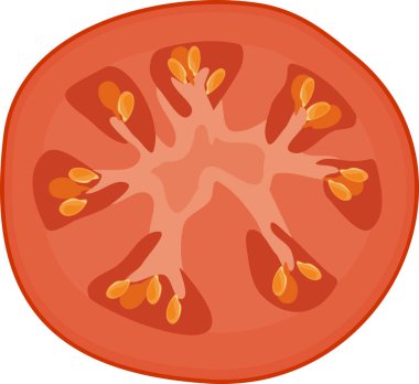 Kırmızı domates, beyaz arka planda izole edilmiş enine kesitten ikiye bölünmüş.