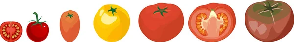 Set Tomates Maduros Diferentes Colores Aislados Sobre Fondo Blanco — Archivo Imágenes Vectoriales