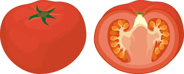 Tomate Rouge Fraîche Isolée Sur Fond Blanc — Image vectorielle