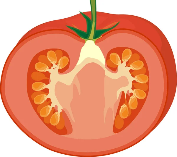 Tomate Rojo Fresco Cortado Por Mitad Aislado Sobre Fondo Blanco — Vector de stock