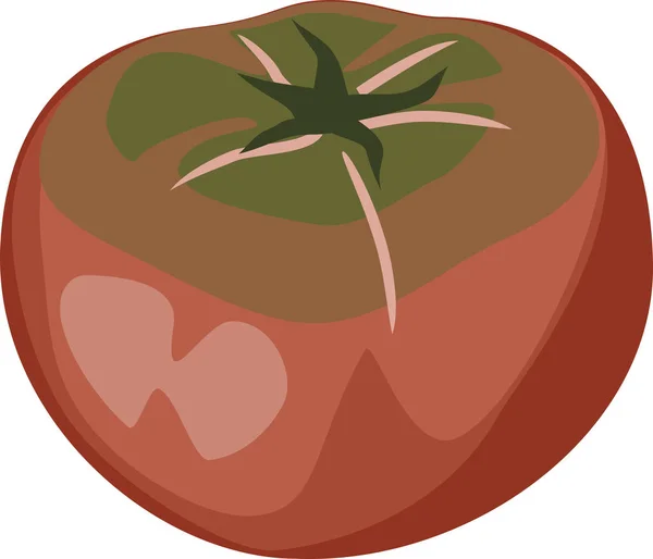Tomate Fraîche Rouge Noir Isolée Sur Fond Blanc — Image vectorielle
