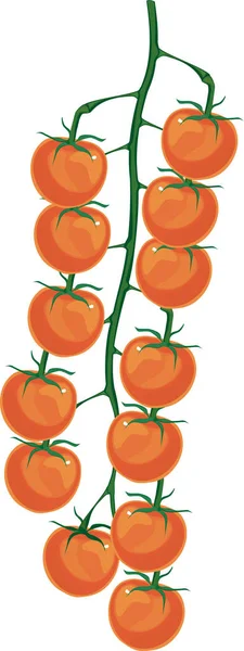 Bando Tomates Cereja Laranja Isolados Sobre Fundo Branco — Vetor de Stock