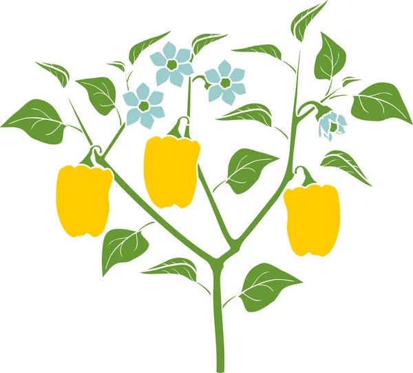 Pepper Tanaman Dengan Daun Hijau Dan Kuning Paprika Dan Bunga - Stok Vektor