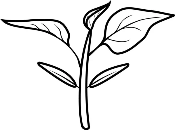 Malvorlage Sprossen Der Pfefferpflanze Mit Isolierten Blättern Auf Weißem Hintergrund — Stockvektor