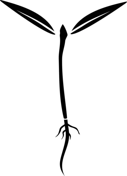 Проростання Томатної Рослини Кореневою Системою Листям Плоскому Стилі Ізольовано Білому — стоковий вектор