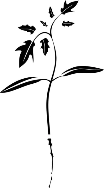Výhonky Rajčat Kořenem Listy Plochém Stylu Izolované Bílém Pozadí — Stockový vektor