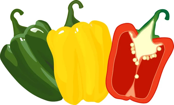 Červené Zelené Žluté Sladké Papriky Izolované Bílém Pozadí — Stockový vektor