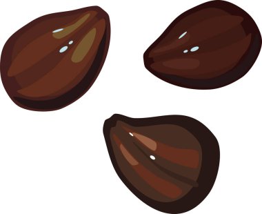 Beyaz arkaplanda izole edilmiş üzüm tohumları