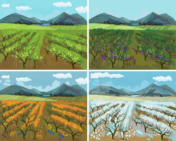 不同季节的葡萄园景观 — 图库矢量图片