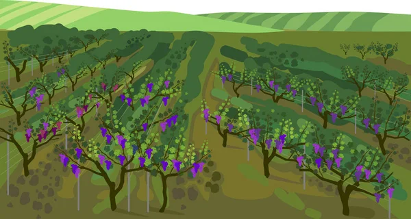 Paysage Été Avec Vignobles Façon Impressionniste — Image vectorielle