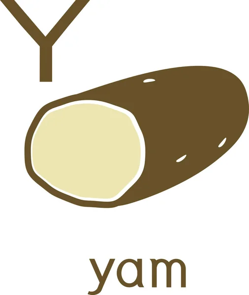 Yam Vegetal Isolado Fundo Branco — Vetor de Stock