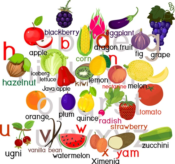 Alfabeto Inglês Com Frutas Legumes — Vetor de Stock