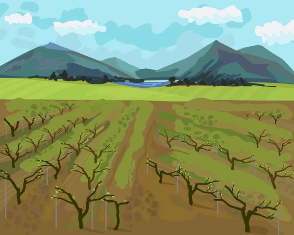 Весенний Пейзаж Виноградниками Горами Горизонте Голубым Небом Импрессионистической Манере — стоковый вектор