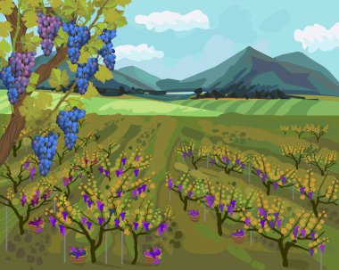 Üzüm bağlarıyla sonbahar manzarası, ufukta dağlar ve empresyonist bir tavırla mavi gökyüzü.