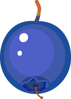 Olgun yaban mersini beyaz arkaplanda izole