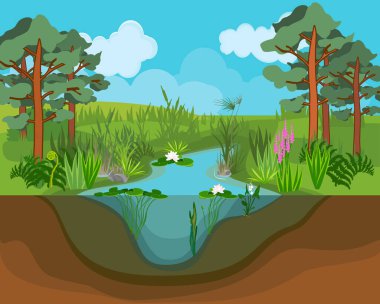  Mavi göletli ve uzun çamlı yaz manzarası