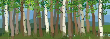  Yaprak döken ağaç gövdeleri olan orman arka planı