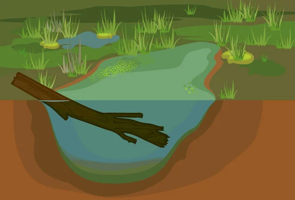 Estructura Estanque Pantano Con Sedimentos Fondo — Archivo Imágenes Vectoriales