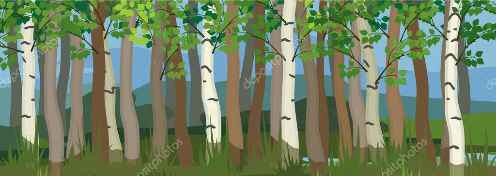 Forest background with many trunks of deciduous trees — Stock Illustration Forest Background Many Trunks Deciduous Trees Stock Vector