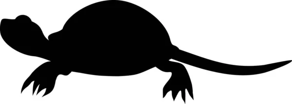 Чорний Силует Гарної Карикатурної Виводки Європейської Стадної Черепахи Білому Тлі — стоковий вектор