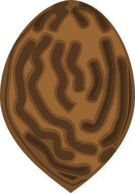  Beyaz arka planda izole edilmiş şeftali tohumu