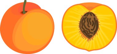  Olgun şeftali, bütün ve boylam olarak beyaz arka planda izole edilmiş.