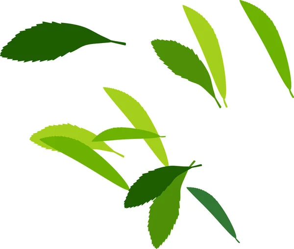 Silhouettes Feuilles Vertes Sur Fond Blanc — Image vectorielle