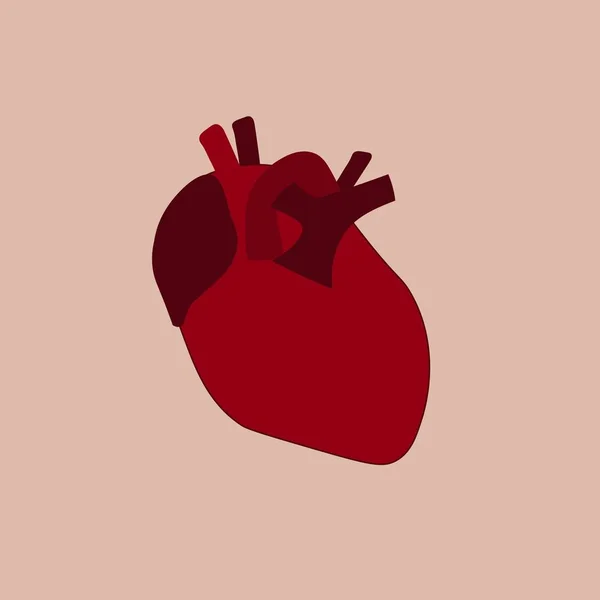 Piros Emberi Szív Ikon Egyszerűen Vektor Illusztráció — Stock Vector