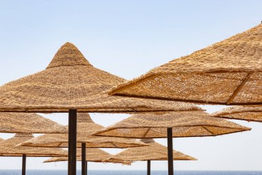 Sharm El Sheikh beach plaj şemsiye