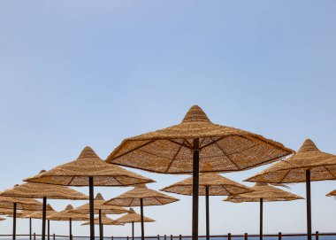 Sharm El Sheikh beach plaj şemsiye