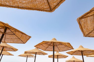 Sharm El Sheikh beach plaj şemsiye