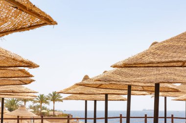 Sharm El Sheikh beach plaj şemsiye