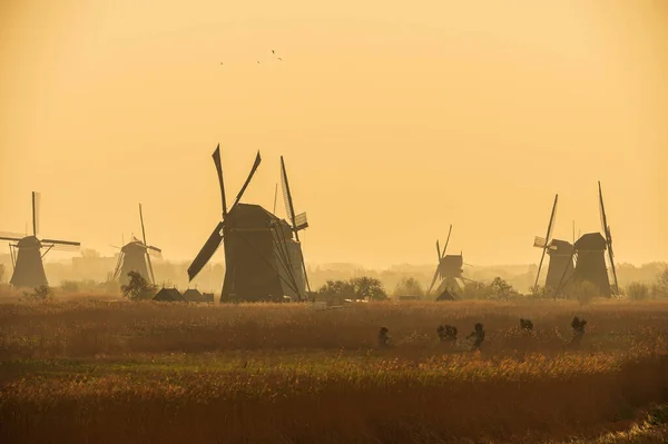 Mulini a vento tradizionali in Olanda — Foto Stock