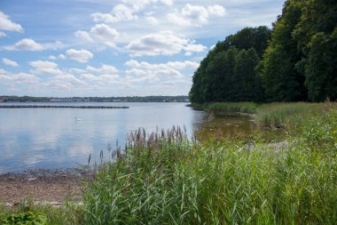Yazın bir plaj ve okyanus manzarasının fotoğrafı.