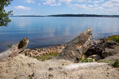 Yazın bir plaj ve okyanus manzarasının fotoğrafı.