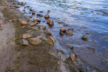 Yazın bir plaj ve okyanus manzarasının fotoğrafı.