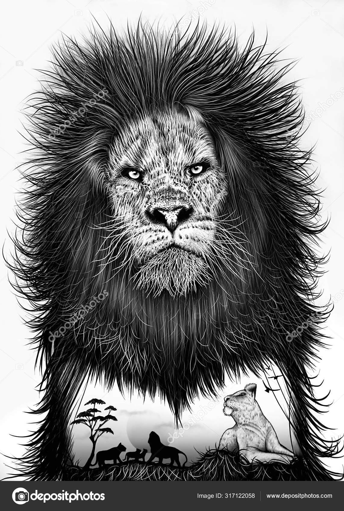 Lion drawing Stock Photos, Royalty Free Lion drawing Images | Depositphotos