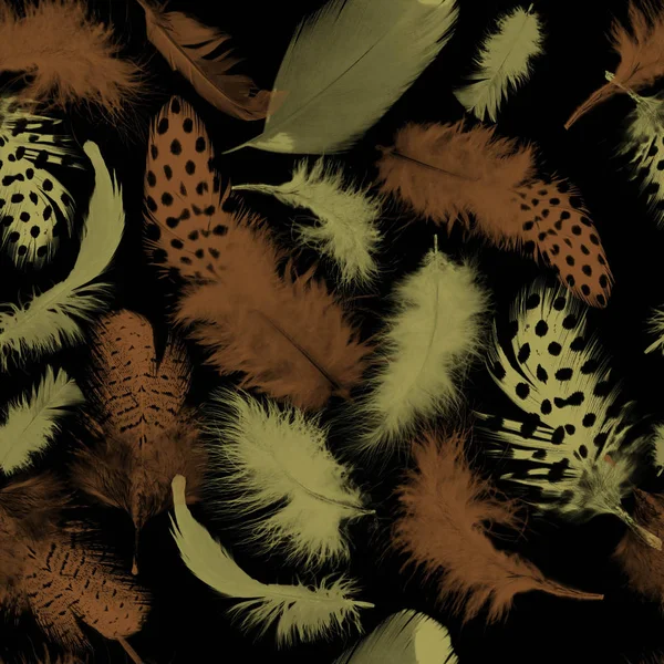 Feathers pattern.Seamless repeating animal texture. Natural background.Birds feather. - illustration