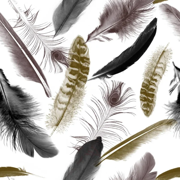 패턴을 솔기없는 동물의 반복됩니다 자연적 새들의 — 스톡 사진